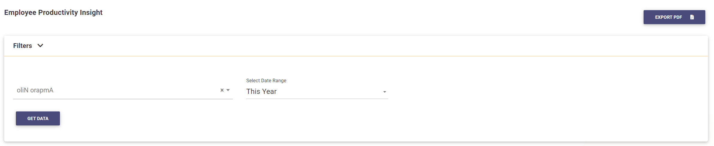 Employee Productivity Insight Filters